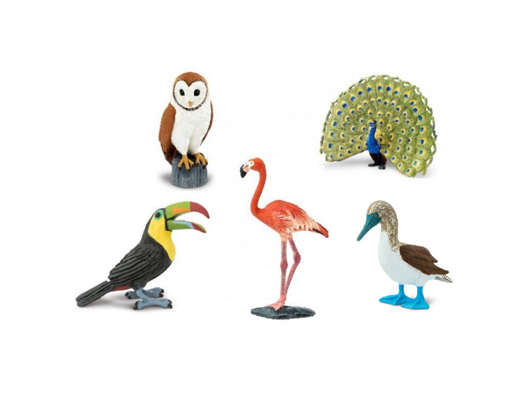 Safari Ltd.Ptáci (5 ks)