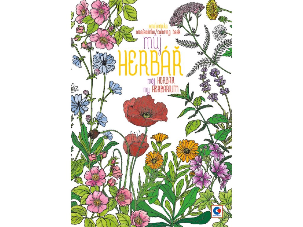 ae2e6d2109fd5e23f12d5eb2b3643260