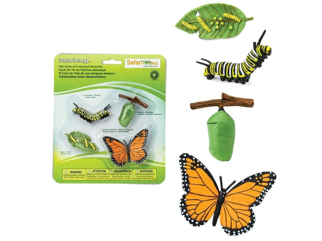 Životní cyklus - Motýl / Safari Ltd.