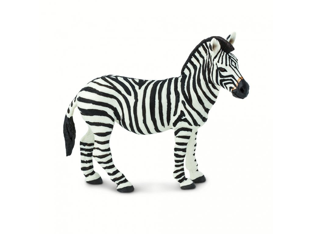 Zebra / Safari Ltd.