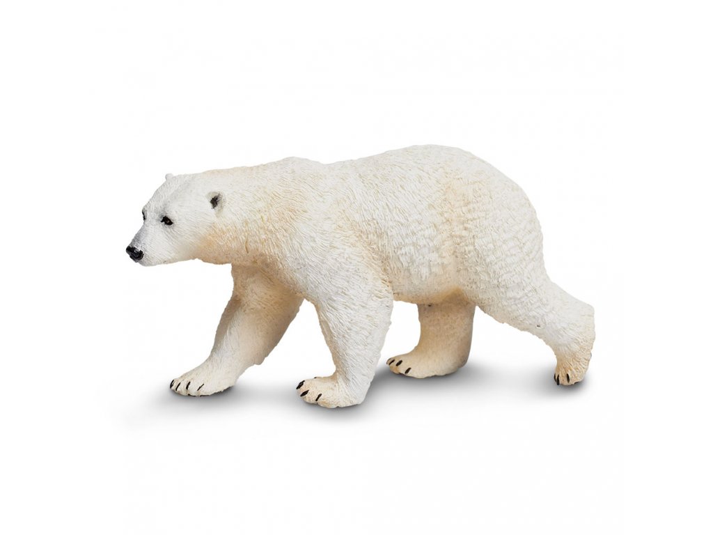 Medvěd lední / Safari Ltd.