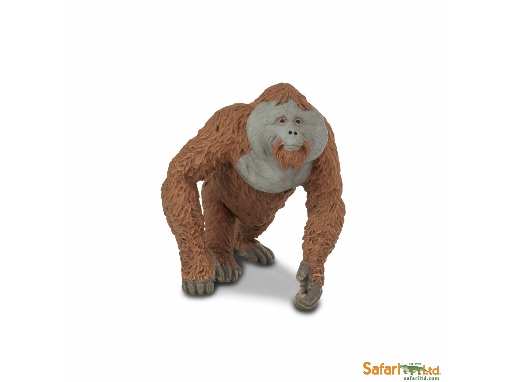 Orangutan - samec / Safari Ltd.