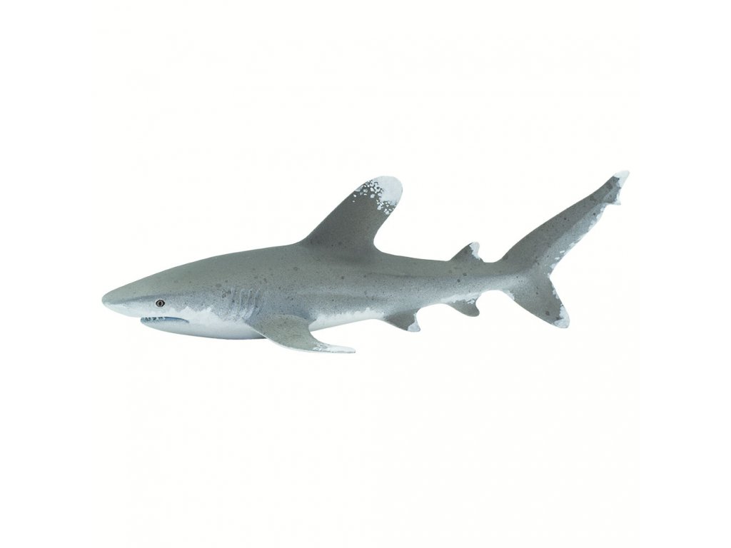 Figurka - Žralok dlouhoploutvý / Safari Ltd.