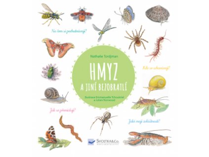 Hmyz a jiní bezobratlí