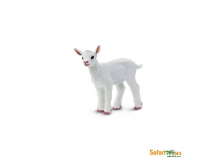 Safari Ltd. Kůzle