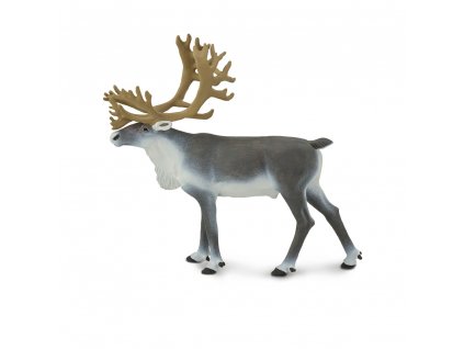 Sob polární / Safari Ltd.