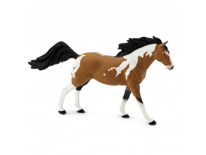 pinto mustang hrebec