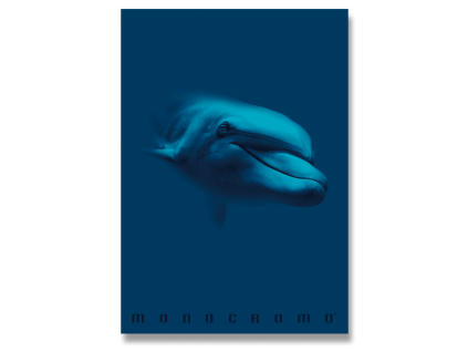 C6xiHB 1200x1200 cd19ae7248b15d36