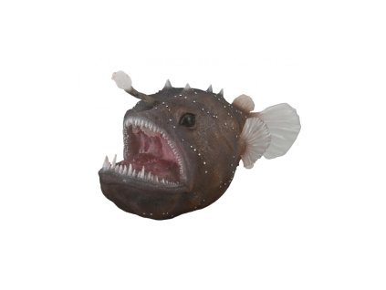 COLLECTA Ďas