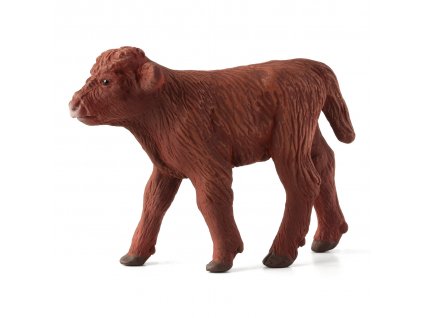 387202.animal