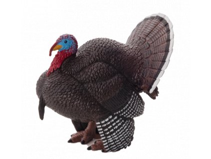 387285 Male Turkey 540x509%20%281%29