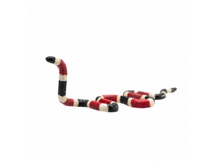387251 Coral Snake 1 540x540%20%281%29