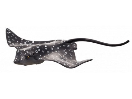 387352 Spotted Eagle Ray 540x189