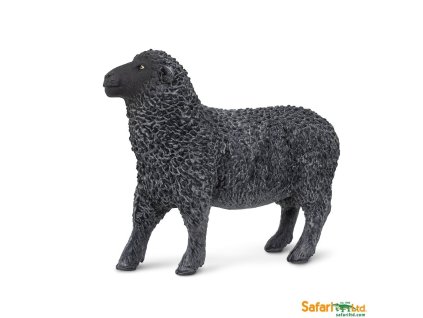 Safari Ltd. Černá ovce