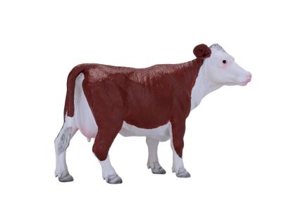 MJ381074 Hereford krava H