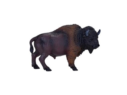 MJ381076 American Bison H