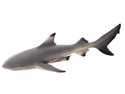 387357 Black Tip Reef Shark 540x238