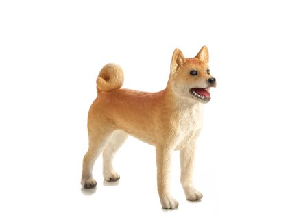 387140 Shiba Inu 1 480x540%20%281%29