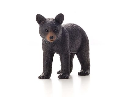 387287 Black Bear Cub w 540x540