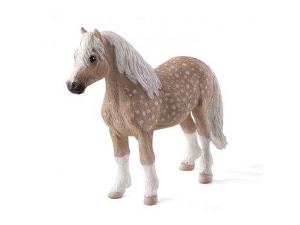 387282 WELSH PONY e1485454616407 540x540