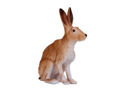 MJ381072 Hare zajic H
