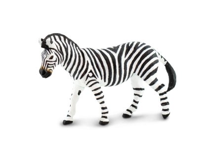 zebra stepni
