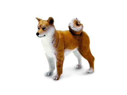 shiba inu