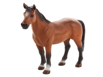 387350 Trakehner 508x540%20%281%29