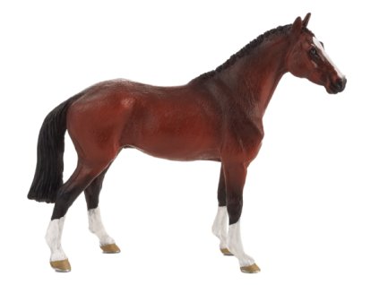 387294 Dutch Warmblood 540x444