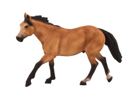 387121 Quarter Horse Buckskin 540x360