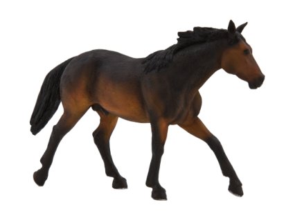 387151 Quarter Horse Sooty Bay 540x360%20%281%29