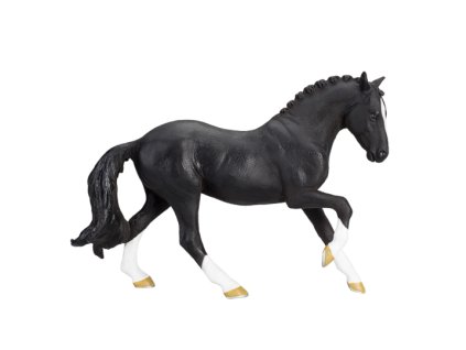387241 Hanoverian Black 1 540x540