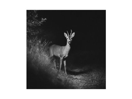 ALBI Noční dalekohled