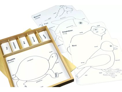 sada aktivit k zoologickym puzzle popisky v anj