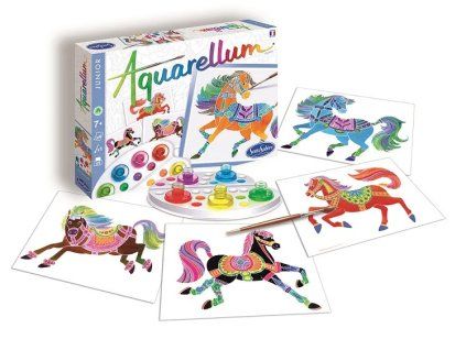 akvarely junior kone