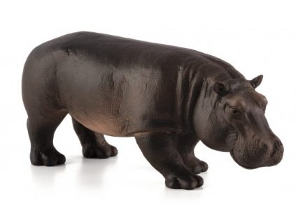 Hroch samice / Mojo Animal Planet