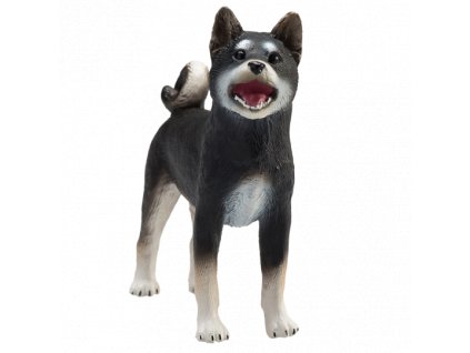 387363 Shiba Inu Black 1 540x540