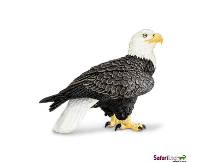 Orel bělohlavý / Safari Ltd.