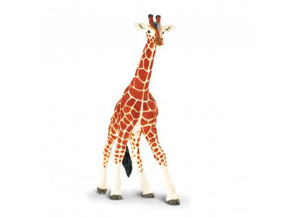 Safari Ltd.Žirafa síťovaná
