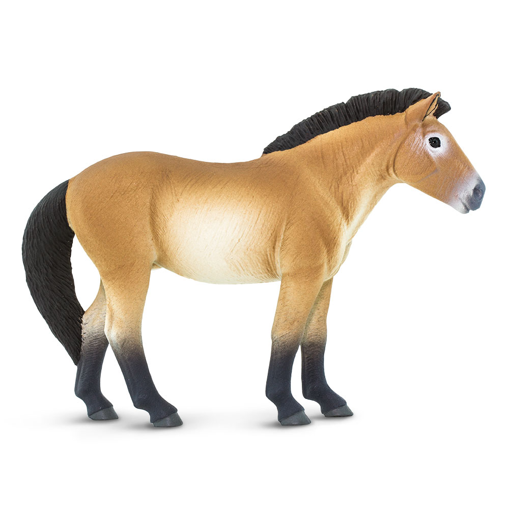 Safari Ltd.Figurka - Kůň převalského
