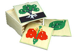 3 botanické puzzle s komodou