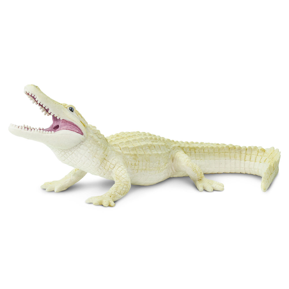Safari Ltd.Krokodýl albín