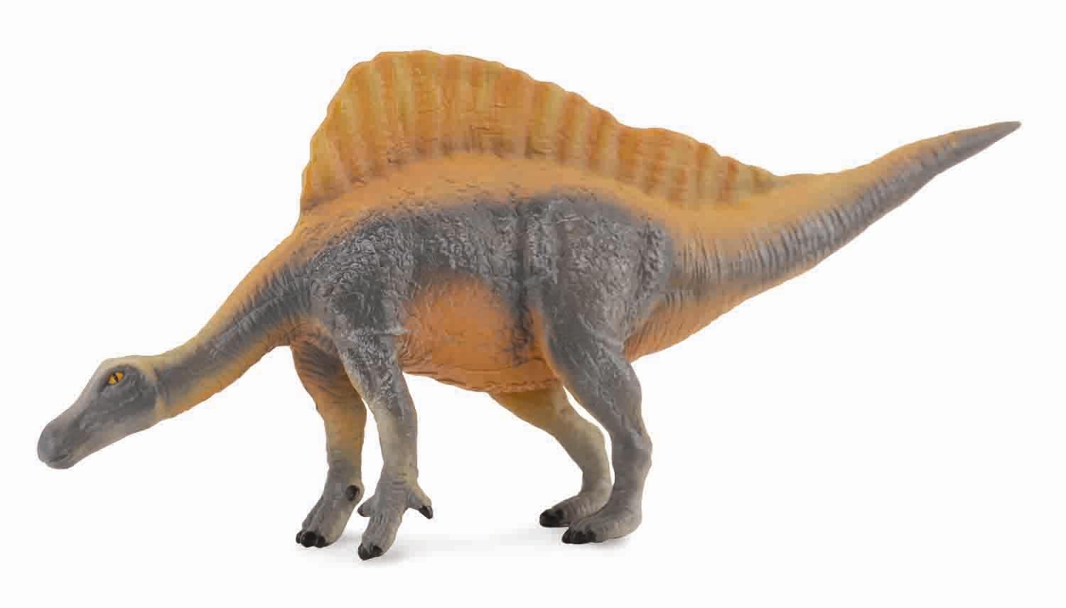 Fotografie Collecte - Ouranosaurus