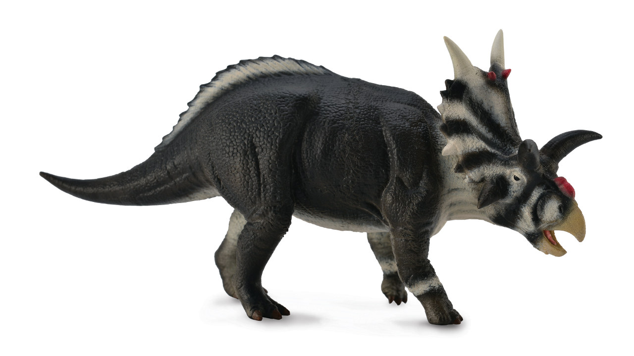 Fotografie Collecte - Xenoceratops