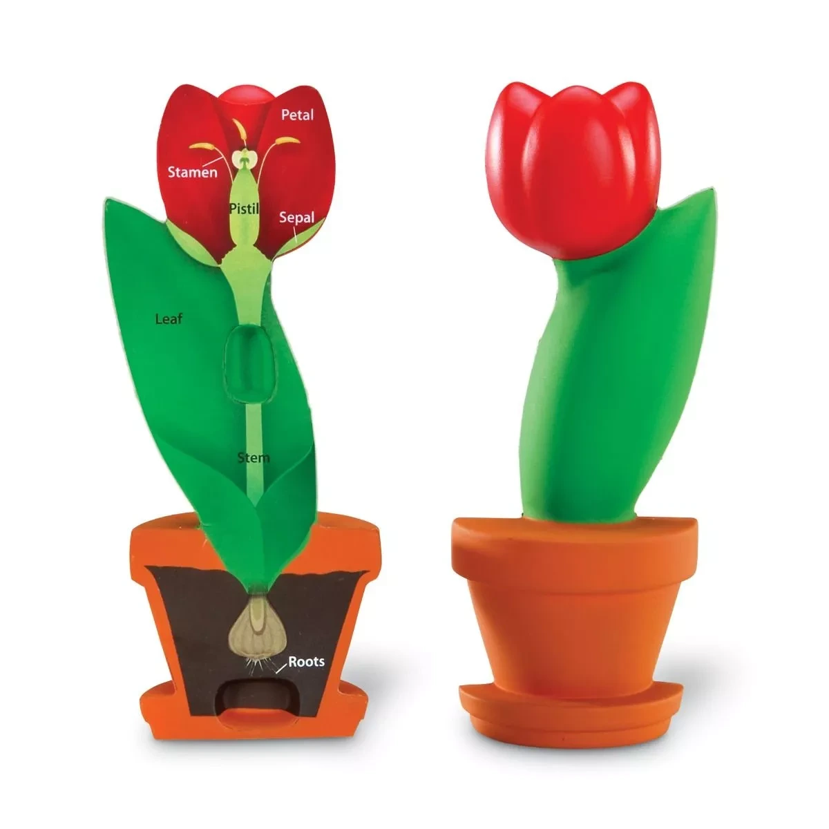 Learning Resources Řez květinou