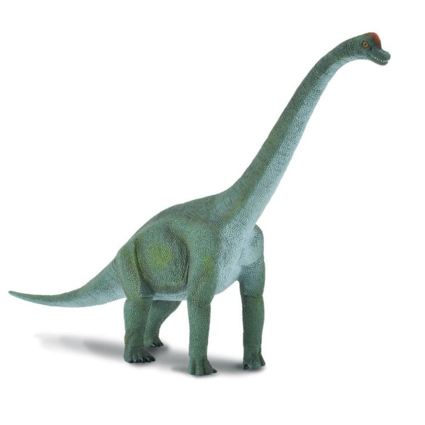 Fotografie Collecta COLLECTA Brachiosaurus