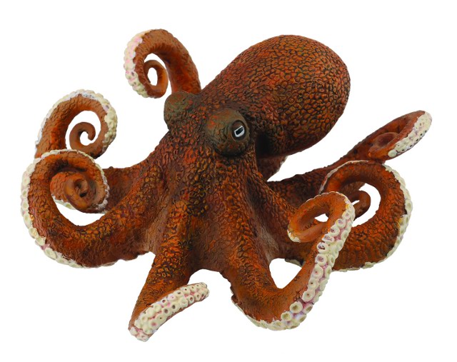 Fotografie Chobotnice - model zvířátka
