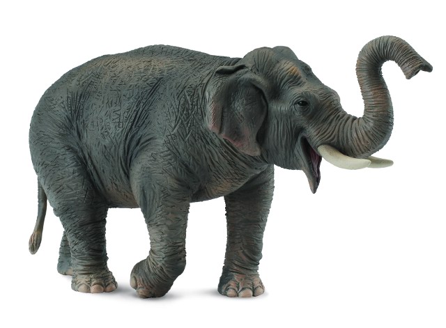 Fotografie Slon asijský - model zvířátka