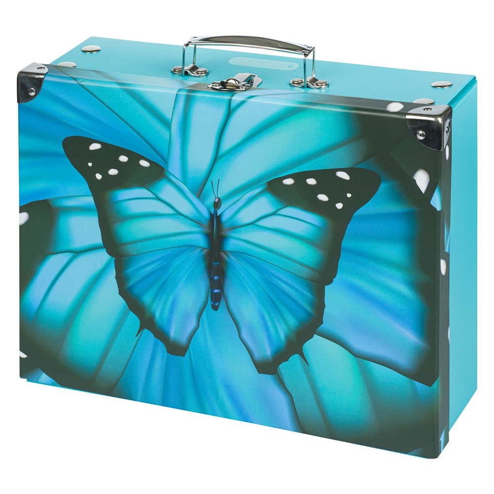 Fotografie BAAGL Skládací školní kufřík Butterfly s kováním