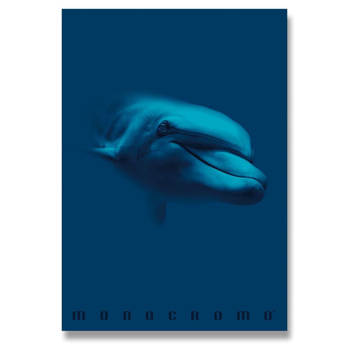 Fotografie Školní sešit Monocromo Blue - A5, linkovaný, 42 listů, mix motivů